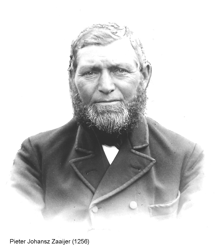Pieter Johansz Zaaijer